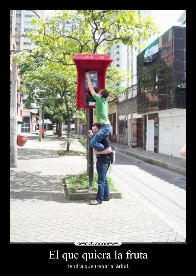 carteles que quiera fruta tendra que trepar arbol desmotivaciones