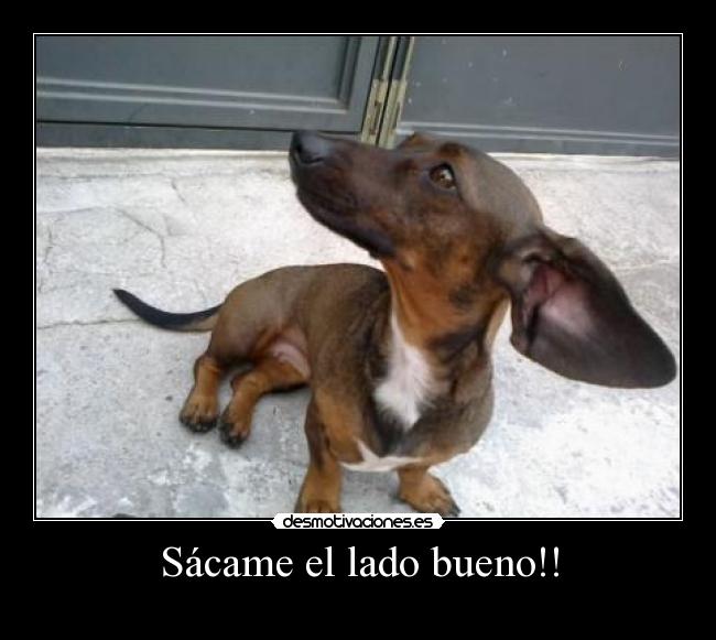 Sácame el lado bueno!! -