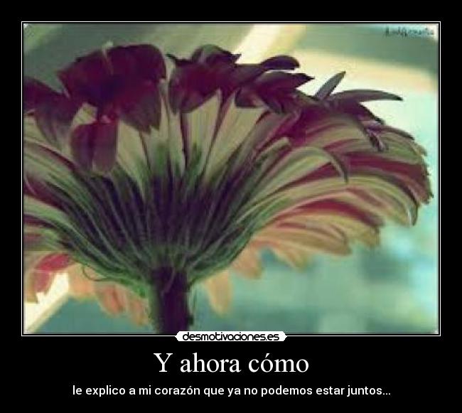 Y ahora cómo - le explico a mi corazón que ya no podemos estar juntos...