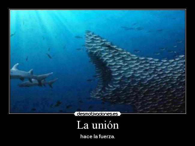 La unión - hace la fuerza.