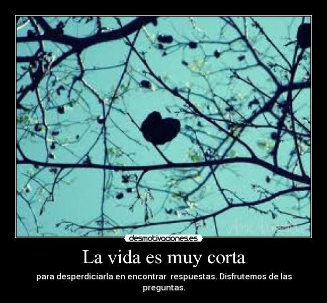La vida es muy corta - para desperdiciarla en encontrar respuestas. Disfrutemos de las preguntas.