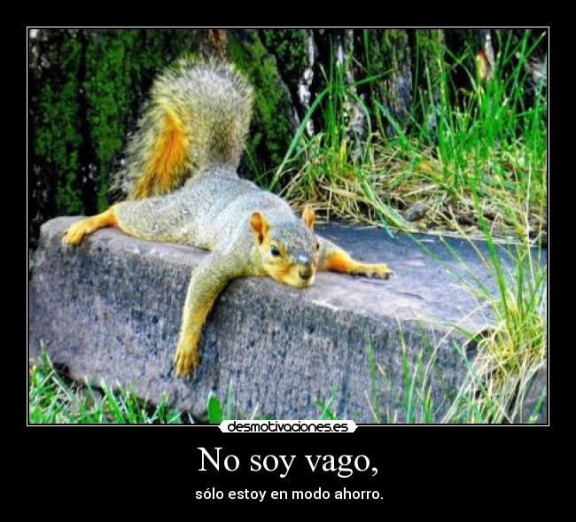 carteles vagos vagos everywhere desmotivaciones