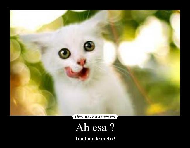 Ah esa ? - También le meto !