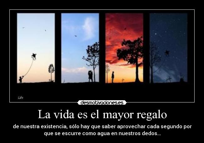 carteles vida emmanuel herrera ruiz desmotivaciones