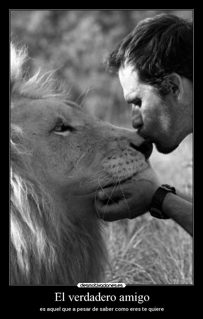 El verdadero amigo - es aquel que a pesar de saber como eres te quiere