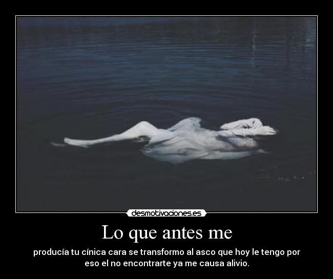 carteles que antes desmotivaciones