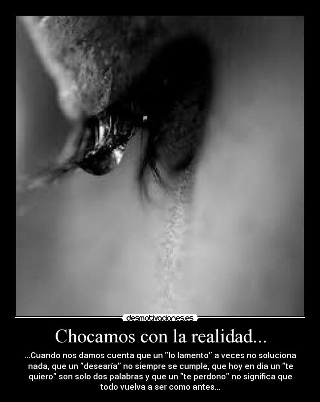 Chocamos con la realidad... - 