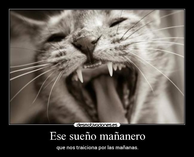 Ese sueño mañanero -