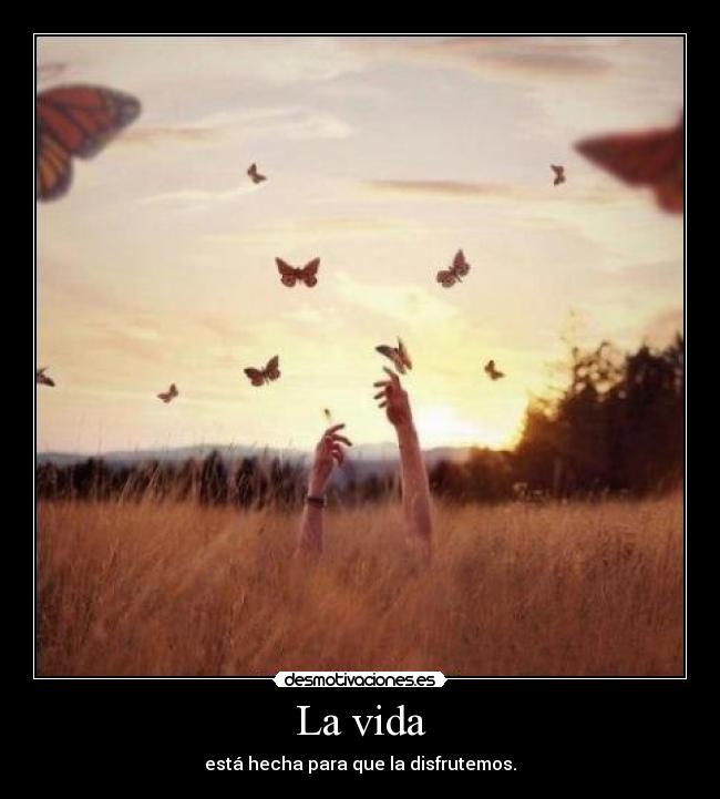 La vida - está hecha para que la disfrutemos.