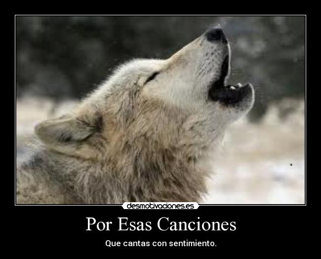 Por Esas Canciones -