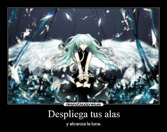 Despliega tus alas - 