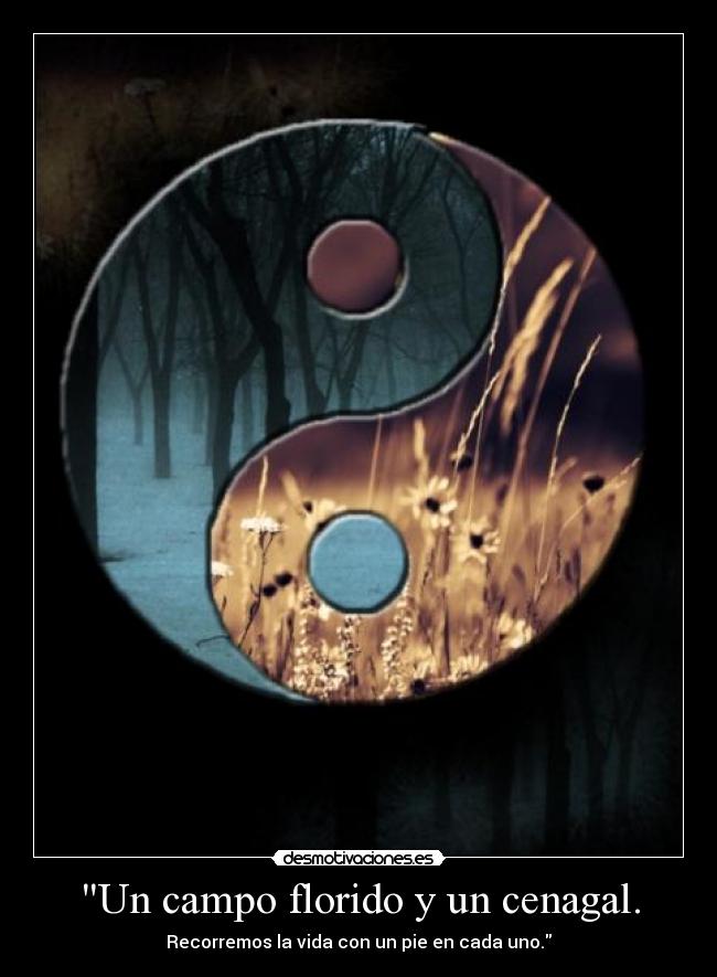 Un campo florido y un cenagal. -