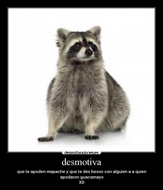 desmotiva - que te apoden mapache y que te des besos con alguien a a quien
apodaron guacamayo
XD