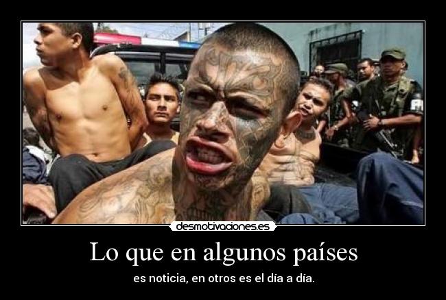 carteles pene desmotivaciones