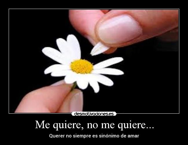 Me quiere, no me quiere... - Querer no siempre es sinónimo de amar