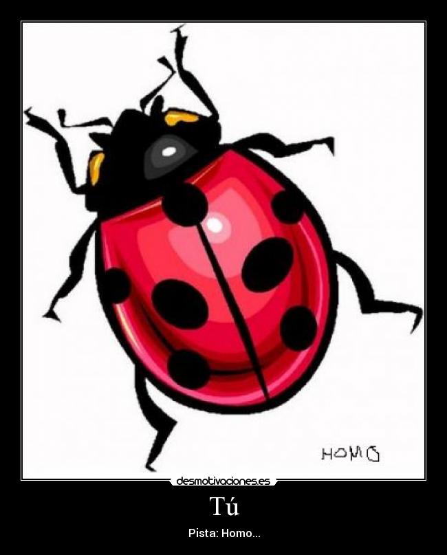 Tú - Pista: Homo...