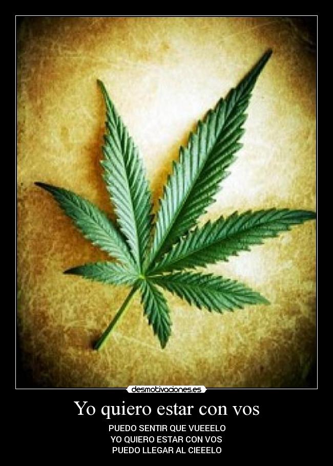 Yo quiero estar con vos - 