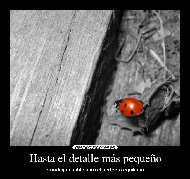 Hasta el detalle más pequeño - 
