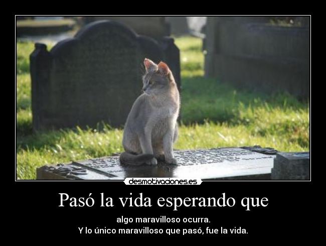 Pasó la vida esperando que - algo maravilloso ocurra.
Y lo único maravilloso que pasó, fue la vida.
