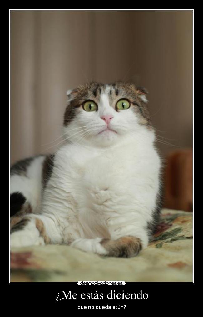 ¿Me estás diciendo - 