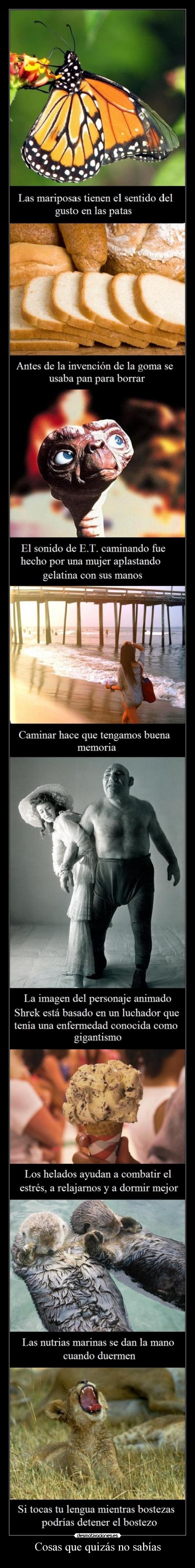 Cosas que quizás no sabías -