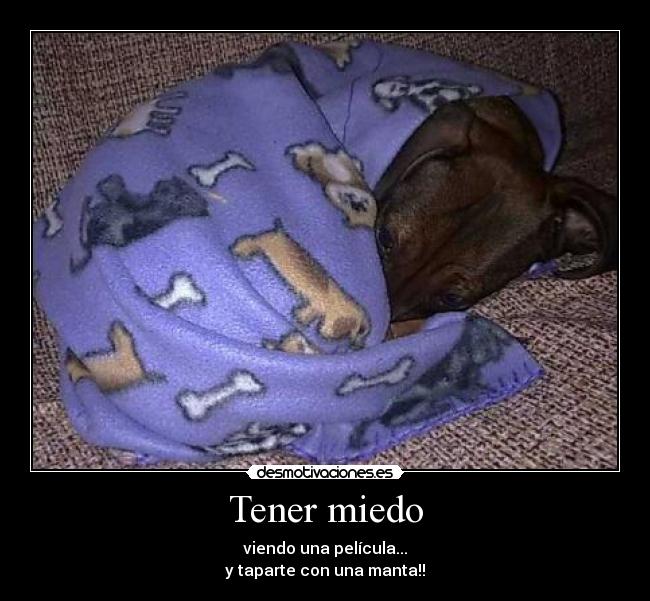 Tener miedo - viendo una película...
y taparte con una manta!!