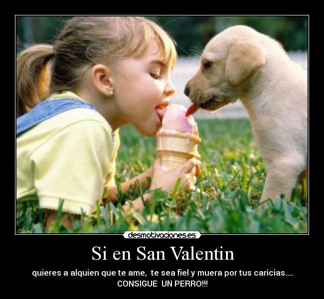 Si en San Valentin - 