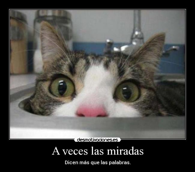 A veces las miradas - Dicen más que las palabras.