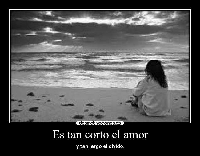 Es tan corto el amor - 