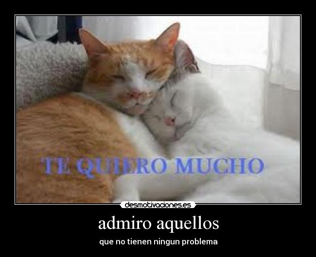 admiro aquellos -