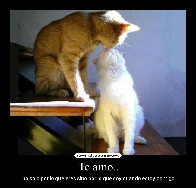 Te amo.. -