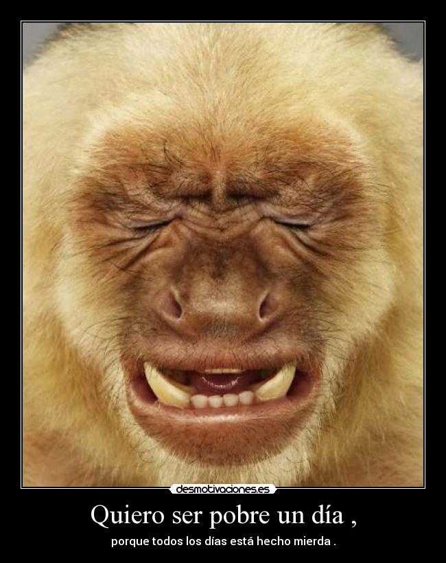Quiero ser pobre un día , - porque todos los días está hecho mierda .