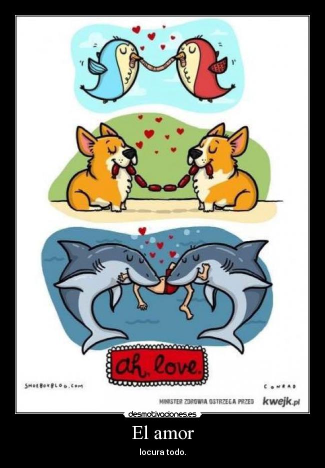 El amor -