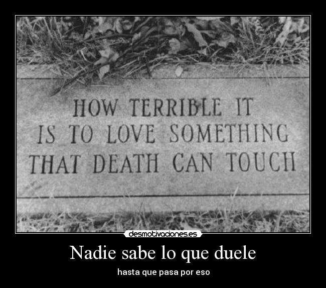 carteles ojala fueras inmortal laprincesita desmotivaciones