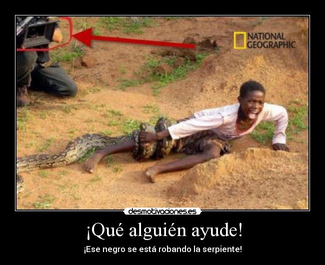 ¡Qué alguién ayude! - ¡Ese negro se está robando la serpiente!