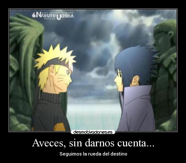 Aveces, sin darnos cuenta... - 