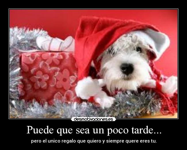 Puede que sea un poco tarde... - pero el unico regalo que quiero y siempre quere eres tu.