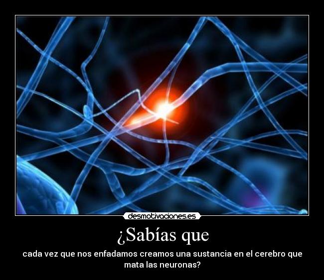 ¿Sabías que - cada vez que nos enfadamos creamos una sustancia en el cerebro que
mata las neuronas?