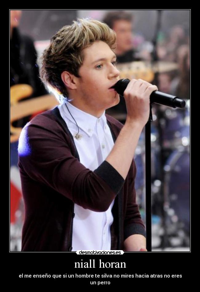 niall horan - 