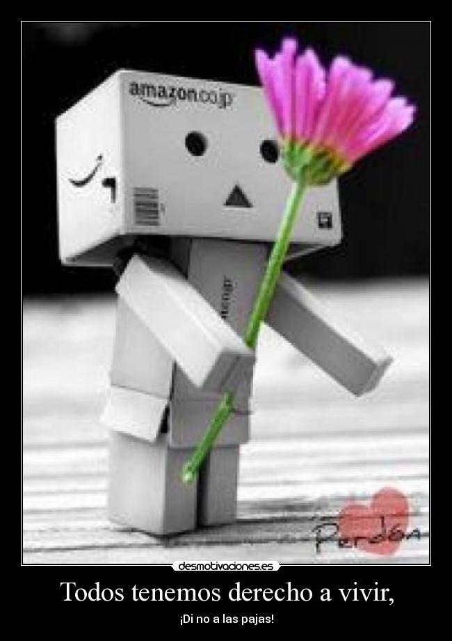 Todos tenemos derecho a vivir, - ¡Di no a las pajas!