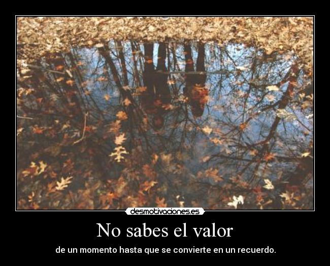 No sabes el valor - 