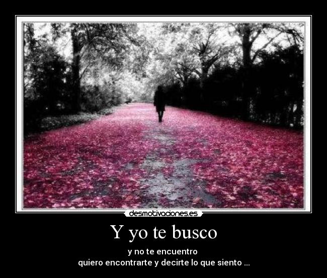 Y yo te busco - 