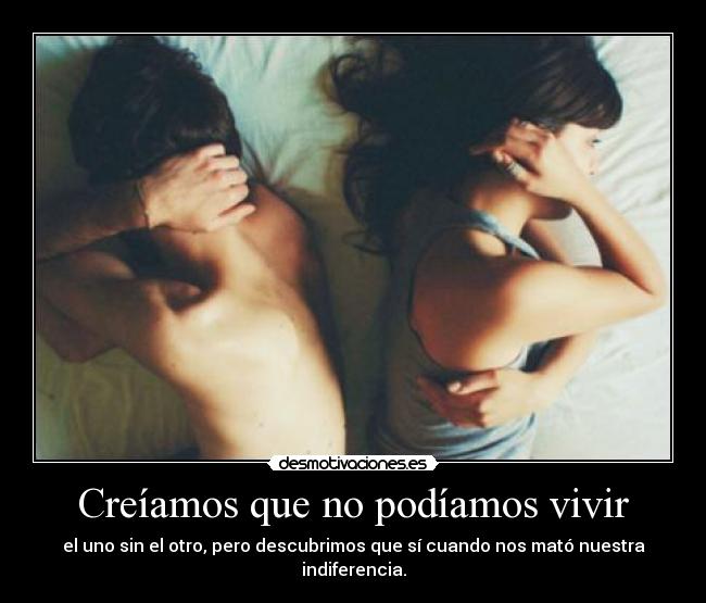 carteles asedy nos conocemos pero soy lachicaquemastequiereenestemundo desmotivaciones