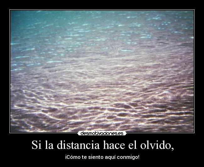 Si la distancia hace el olvido, - iCómo te siento aquí conmigo!
