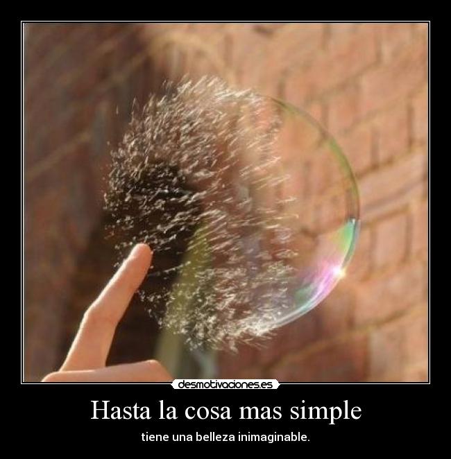 Hasta la cosa mas simple - tiene una belleza inimaginable.