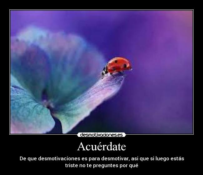 Acuérdate - De que desmotivaciones es para desmotivar, asi que si luego estás
triste no te preguntes por qué