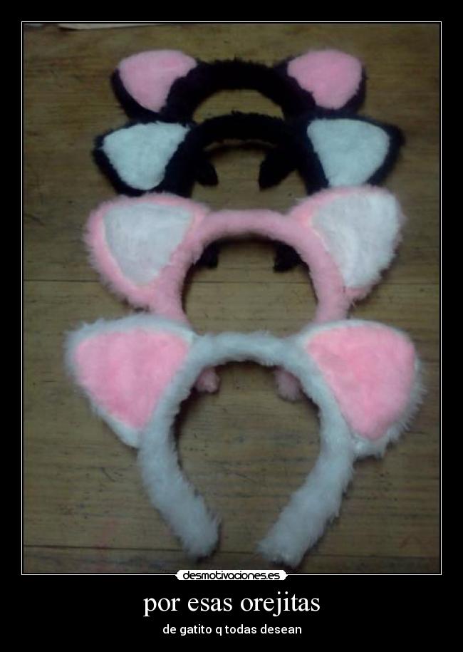 por esas orejitas - de gatito q todas desean
