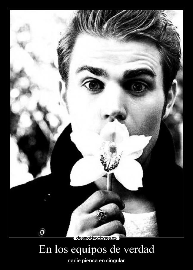 carteles caperucitaazul blackworld stefan paul wesley desmotivaciones