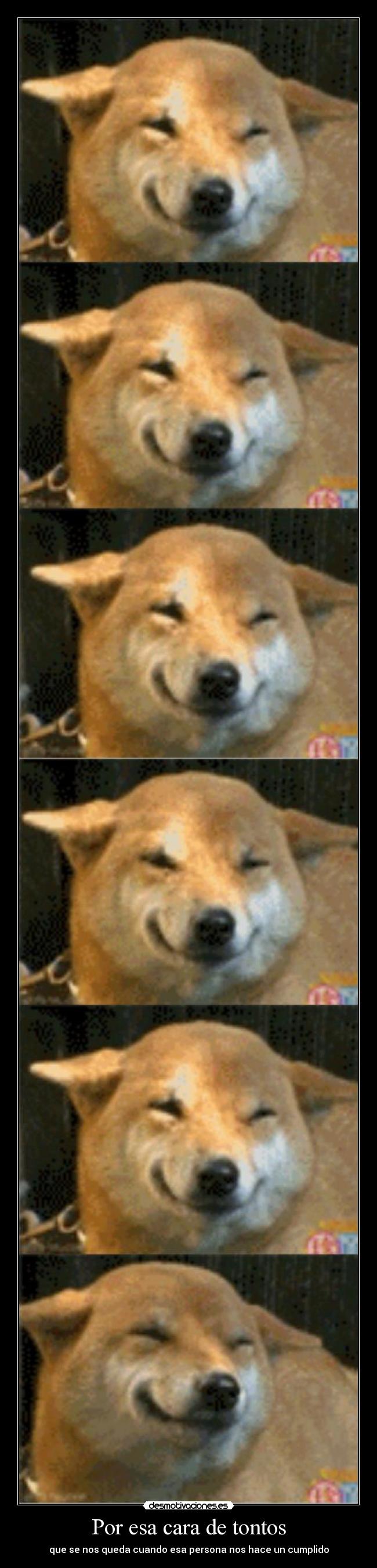 Por esa cara de tontos - 