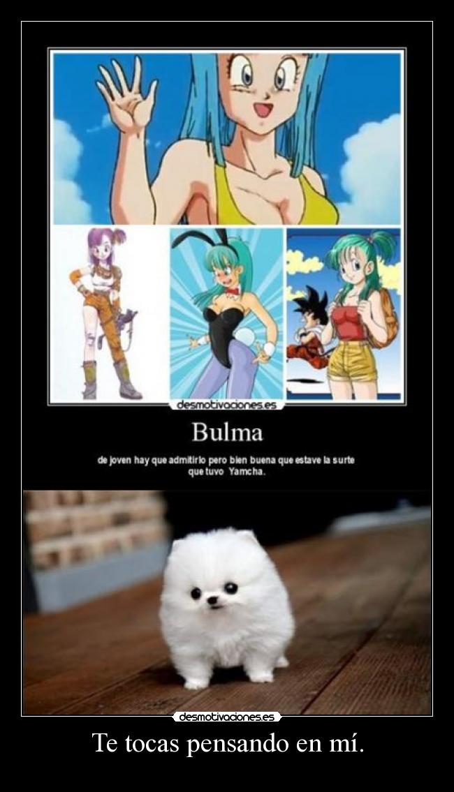 carteles bulma272 gente que pone viendo fotos perritos cuanto degenerado joder jason desmotivaciones